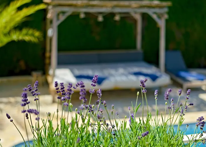 Villa La Colina By Interhome Dénia